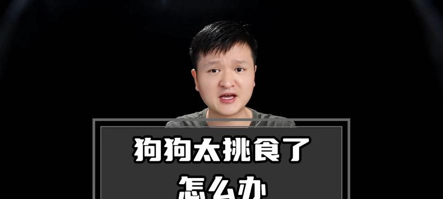 如何应对狗狗挑食问题？（排除疾病后的喂食策略）