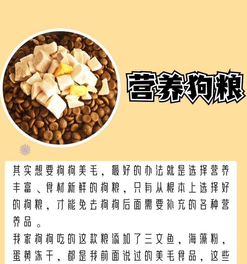 营养丰富的食物，让你家狗狗健康成长（为宠物狗提供适当的食物，关键在于这6种食物）