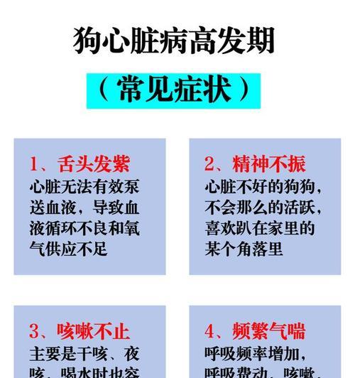 狗狗也会患心脏病吗？（了解狗狗心脏病的原因和预防措施）