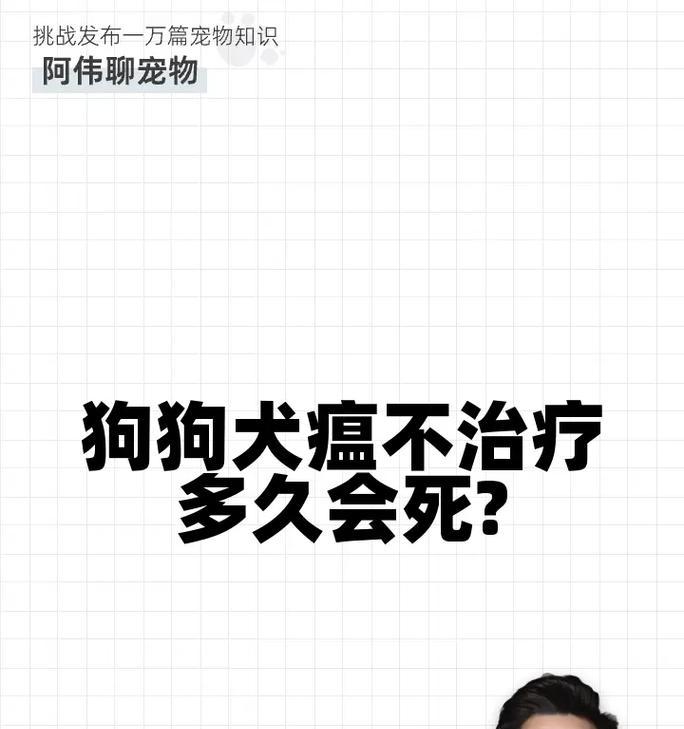 狗狗患犬瘟热，主人须做好预防措施（以预防为主，帮助狗狗远离犬瘟热的威胁）