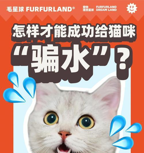 猫咪不喜欢喝水（建立良好的饮水习惯，）