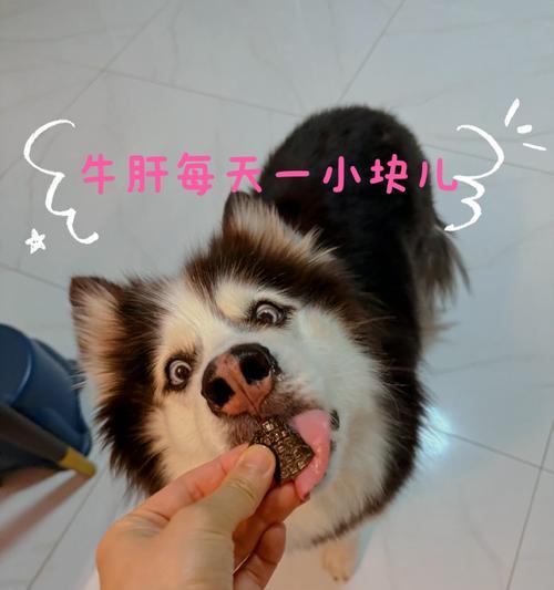 幼犬的蔬菜饮食（选择适合幼犬的蔬菜，让它们健康成长）