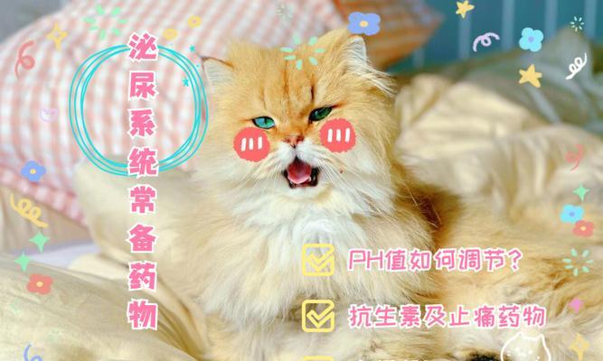 猫咪两个月能吃什么药？（了解猫咪两个月可用药物及注意事项）