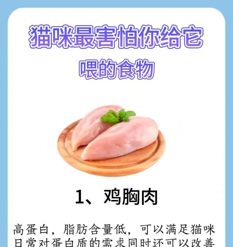 亲手为猫咪做美味佳肴（以自己的手艺为猫咪做一顿美食盛宴）