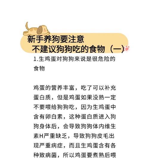 带狗进入新环境的注意事项（确保狗狗适应新环境的关键要点）