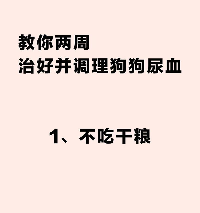 为什么狗狗一吃狗粮就尿血？（了解狗狗尿血的原因及预防方法）