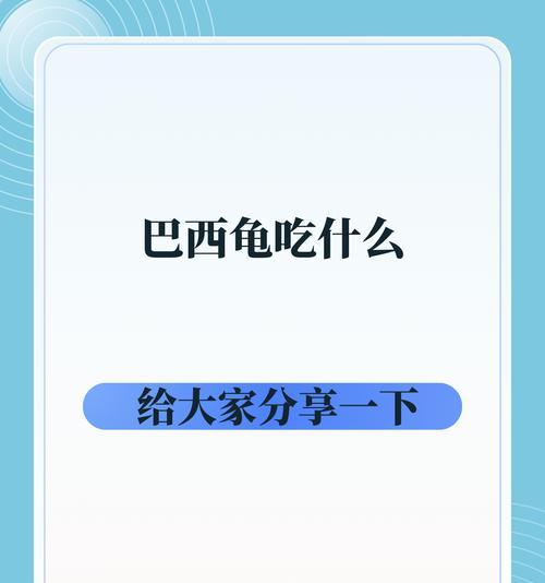 乌龟的饮食习惯与营养需求（揭开乌龟的美食世界）