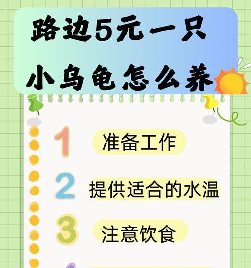 如何正确养龟，水中添加什么？（优质水质保证龟宠健康）