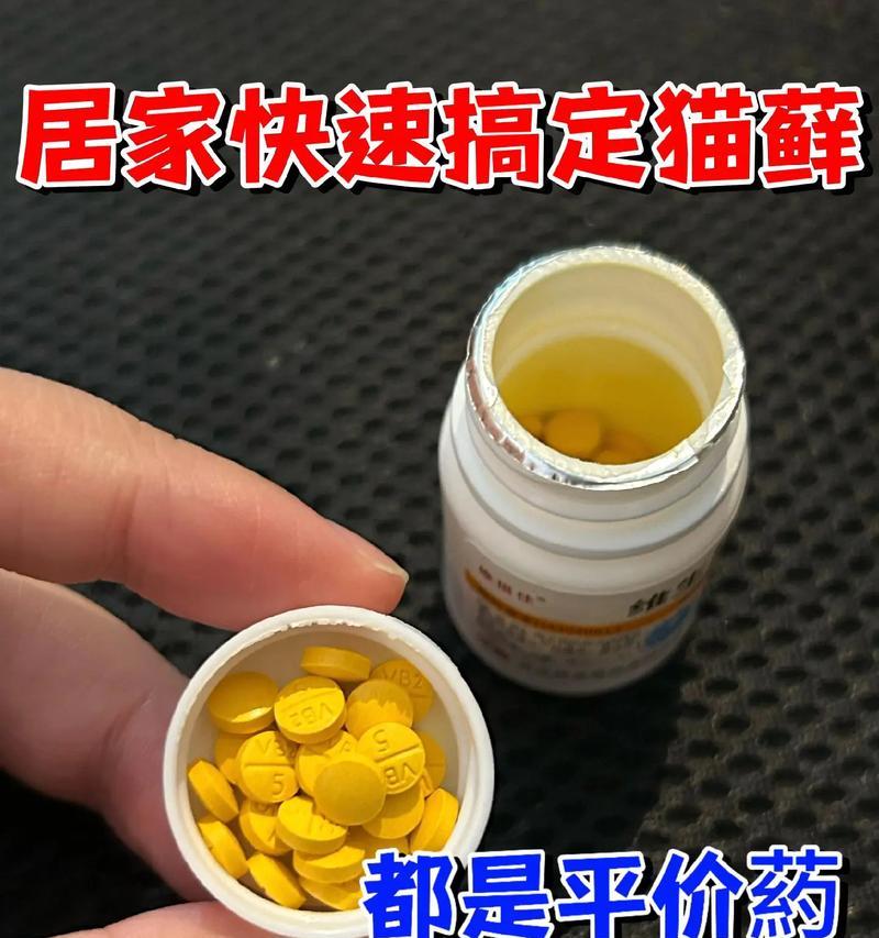 预防猫藓的药物选择（保护宠物健康，合理用药）