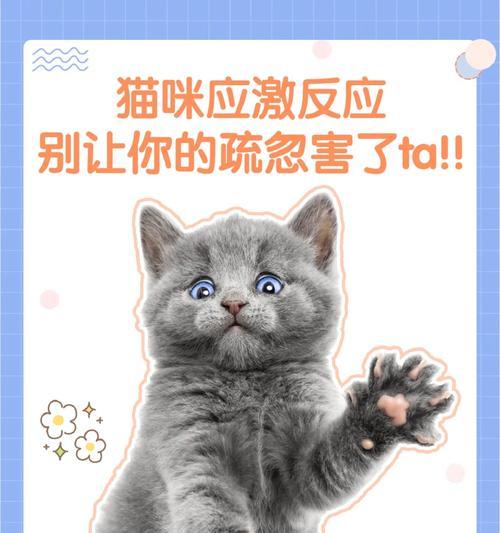 宠物的应激反应与心理健康关系探究（了解宠物的应激反应，关注它们的心理健康）