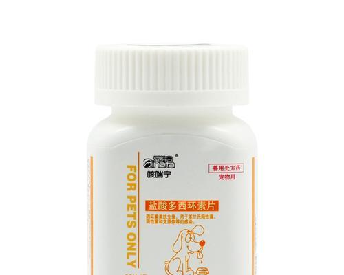 揭秘狗咳喘的原因与处理方法（了解狗咳喘的成因，保护宠物健康）