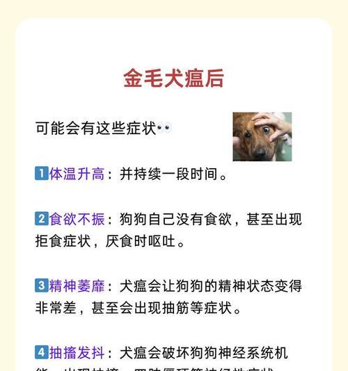 狗狗的犬瘟晚期症状及护理（掌握犬瘟晚期症状，为宠物提供及时救治）