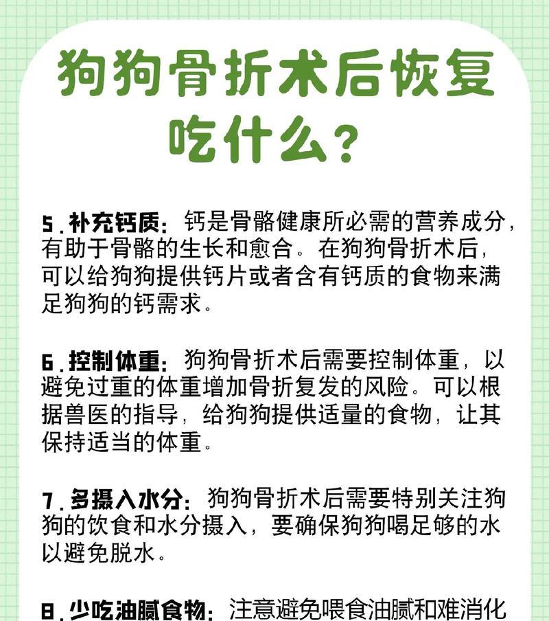 狗狗的水果饮食（探索狗狗最适合食用的水果种类和注意事项）