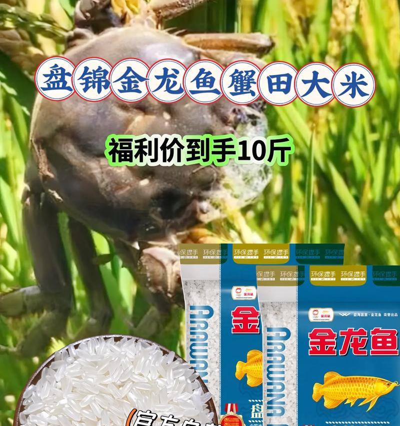 红龙鱼的最佳食物选择（养红龙鱼，别错过这些食物！）
