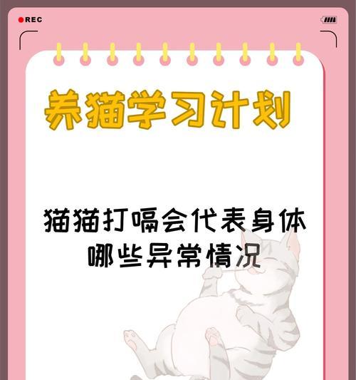 猫咪不吃东西，怎样解决？（以什么方法和食物来喂养猫咪）