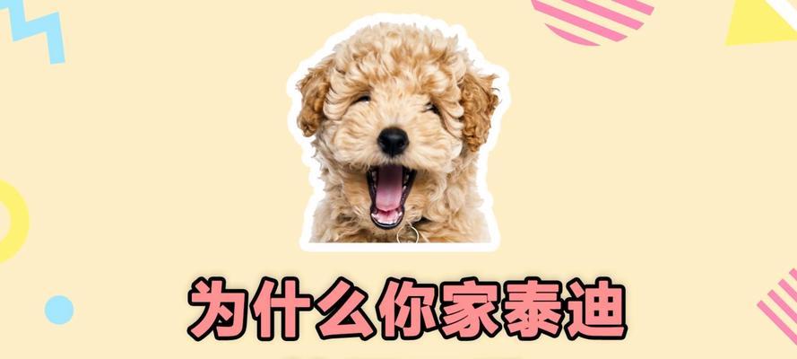 泰迪犬禁止食用的水果（为保护泰迪犬健康，必须避免的水果）