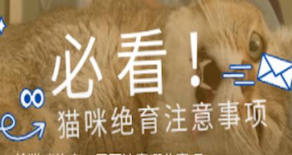 猫咪结扎后的护理与注意事项（保护猫咪健康，合理护理是关键）