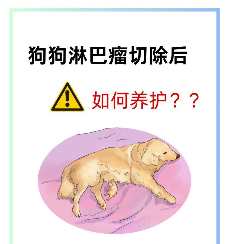 淋巴癌犬病的常见症状及治疗（探索淋巴癌在狗身上的症状和治疗方法）