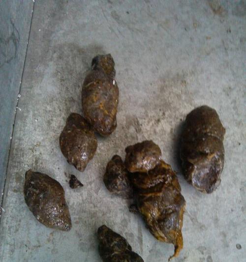 狗狗进食过量引起呕吐的处理方法（药物治疗在处理狗狗进食过量引起呕吐时的重要性）