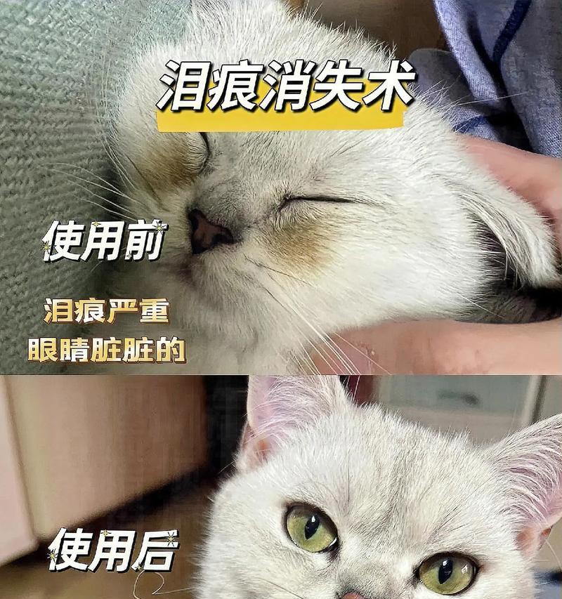 揭秘眼屎的成因及其意义（为什么我们的眼睛会生出眼屎？眼屎到底有什么用？）