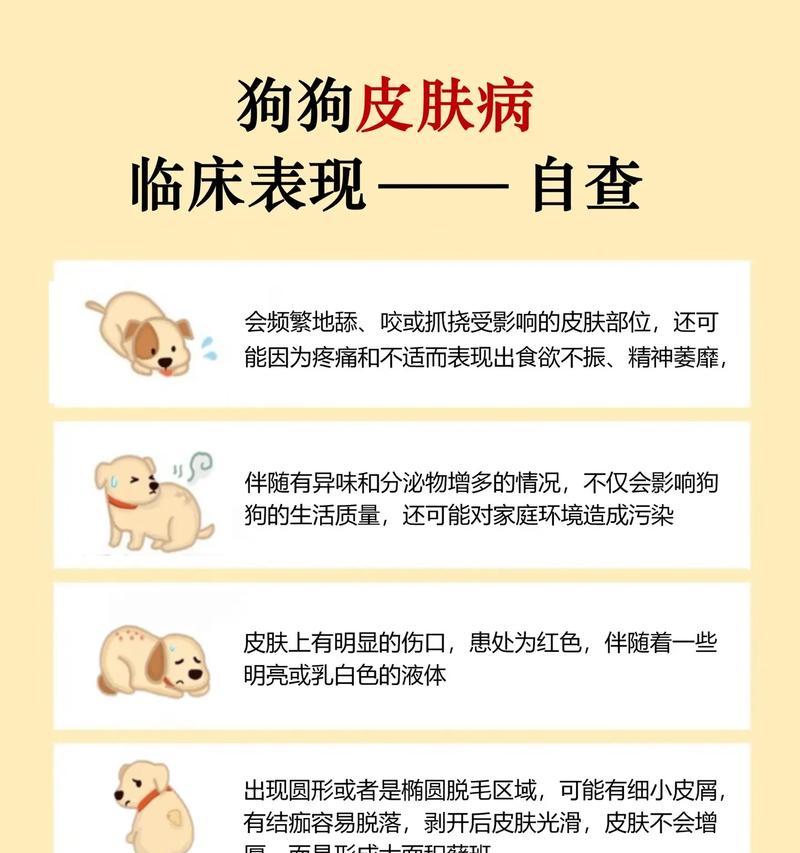 狗皮肤病的饮食管理（营养均衡是关键）
