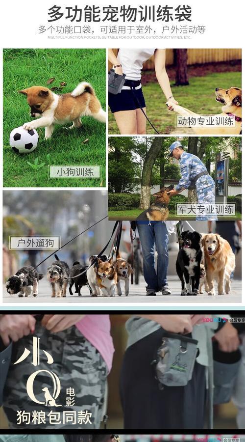 以训狗响片的作用——提高训犬效果的利器（培养听觉反应能力，强化犬主沟通关系）
