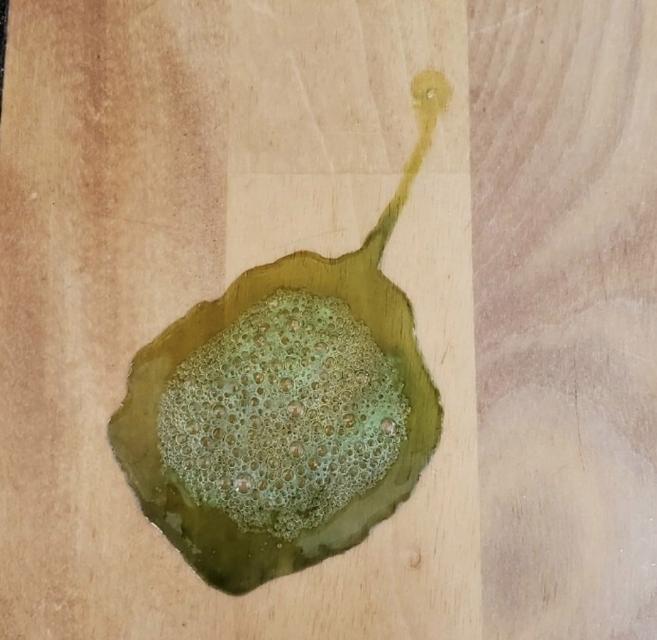 探究一岁多的狗狗为什么会吐（揭秘狗狗吐的原因及应对方法）
