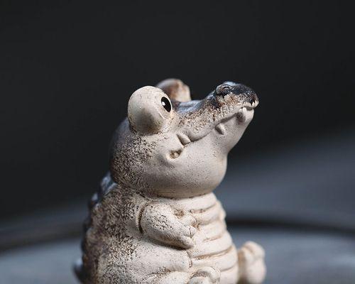 养小鳄鱼的注意事项（小鳄鱼饲养的关键是什么）