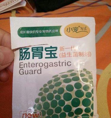 泰迪犬的饮食禁忌（宠物主人必知的泰迪犬食物禁忌清单）