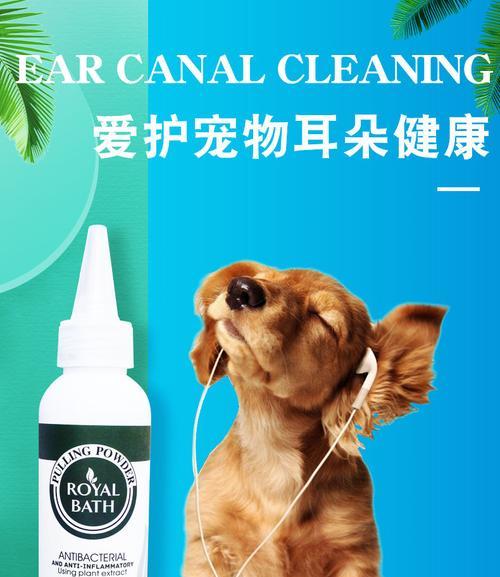 选择适合金毛的沐浴露，呵护毛发健康（金毛宠物的沐浴露选择指南，让毛孩们更健康美丽）