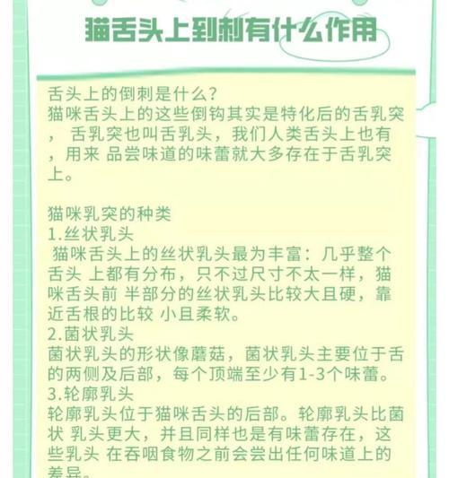 作业猫的舌头结构和功能探究（为什么作业猫的舌头上有倒刺？）