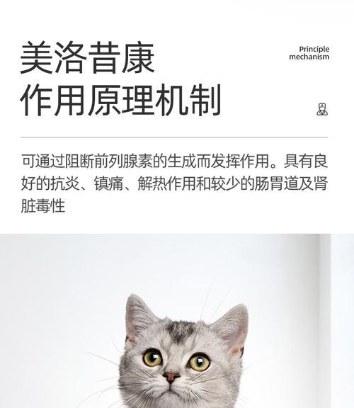 猫痛患者的药物治疗方案（探索以猫痛用药为主的治疗方法及效果）