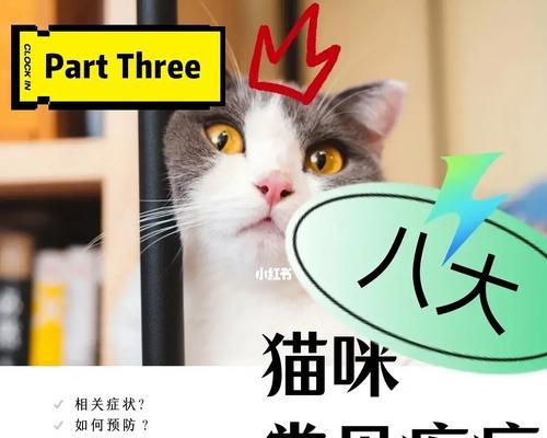 猫咪高血糖的危害（了解猫咪高血糖对健康的影响）