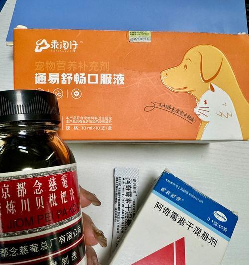 狗狗11岁了，为什么总是咳嗽？（探寻老狗咳嗽的原因和处理方法）