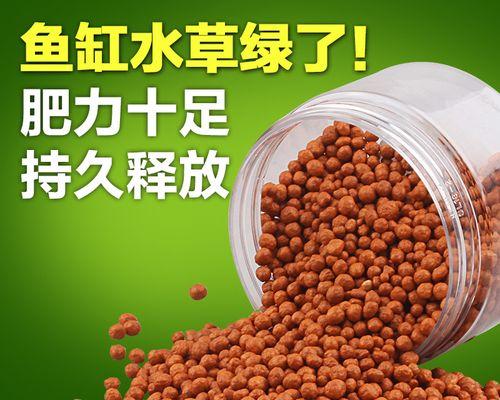 以水草液肥的正确添加时机增加植物生长效果（掌握适宜添加时机，让植物更加茁壮成长）
