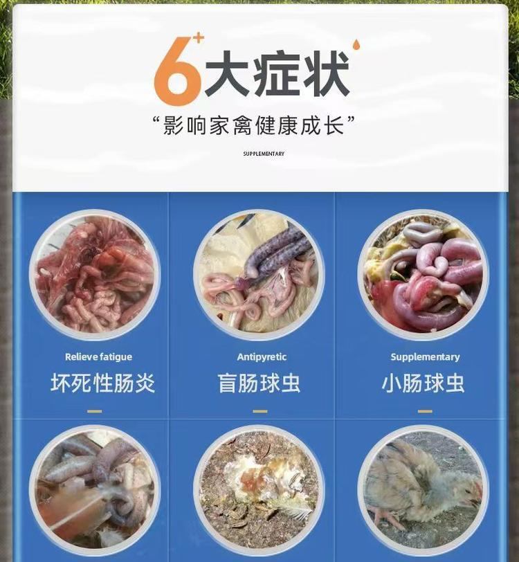 鸽子球虫感染的治疗药物（针对鸽子球虫感染，选择合适的药物治疗方式）