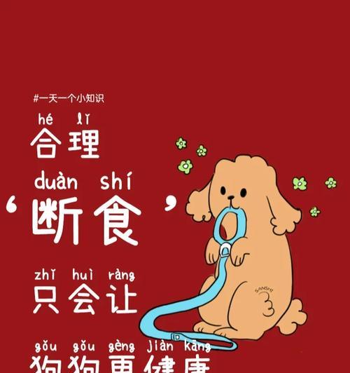 狗的排毒时间及其重要性（了解狗的排毒周期，它们的健康将与众不同）