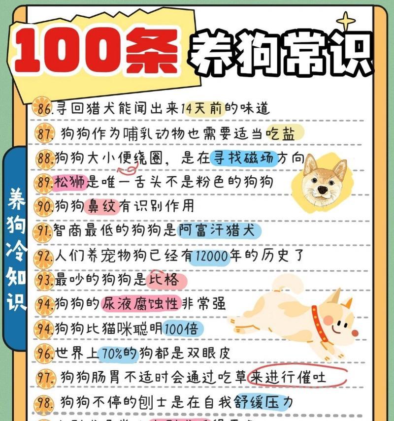 幼犬迎接新家的注意事项（如何让幼犬顺利适应新环境）