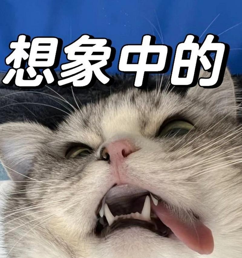小猫为什么会吐舌头？（探寻小猫吐舌头的奥秘）