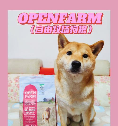 狗为什么不吃狗粮？（探究狗不吃狗粮的原因与解决方案）
