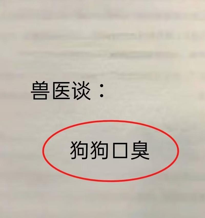 消除狗狗口臭的最有效方法（让你的毛孩拥有清新口气的秘诀）