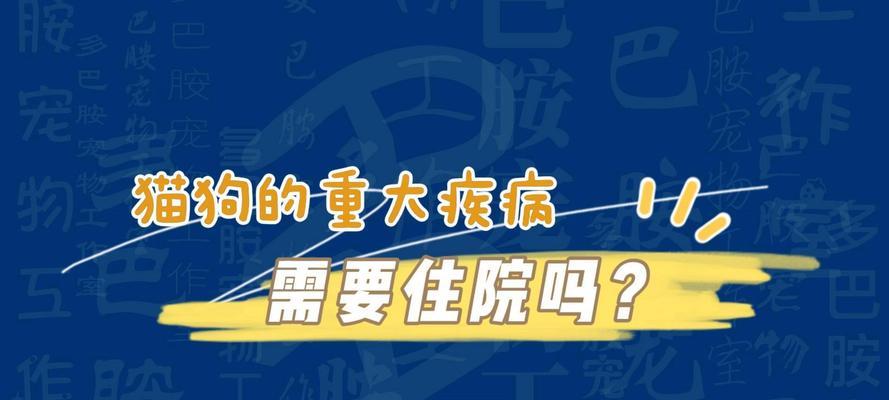 细小病毒对狗狗的威胁及灌肠的重要性（保护狗狗免受细小侵害的关键措施——灌肠）