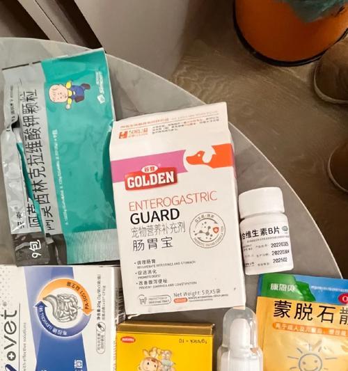 小猫肠胃炎的饮食护理（小猫肠胃炎的饮食推荐及常见问题解答）
