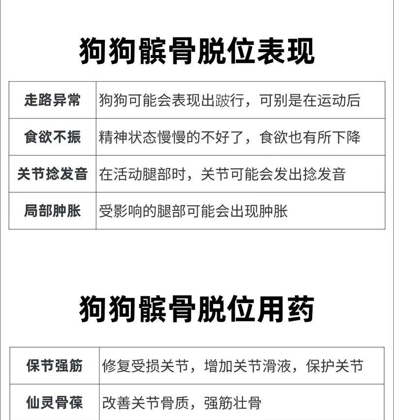 狗的预防性药物使用指南（了解狗需要的预防性药物，宠物健康的关键！）