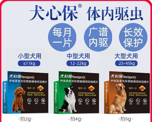 金毛驱虫药选择指南（为您的金毛选择最合适的驱虫药）