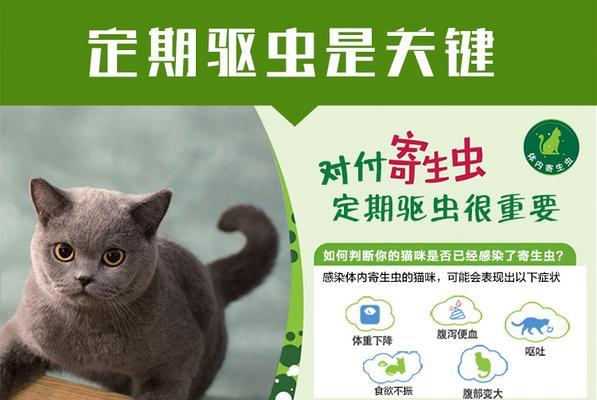 猫长蛔虫的饮食习惯（了解猫的饮食需求，预防蛔虫滋生）