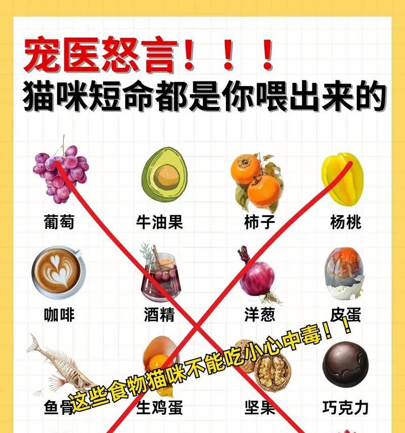 猫不吃猫粮，还可以吃什么？（探索猫咪饮食的多样性与选择）