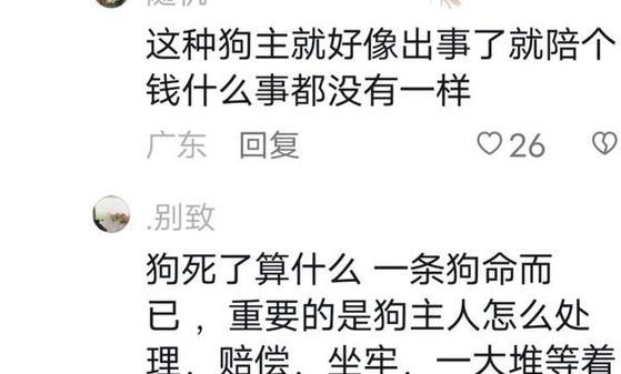 为什么狗被咬脖子会死？（揭秘咬脖致命的内因和外因）