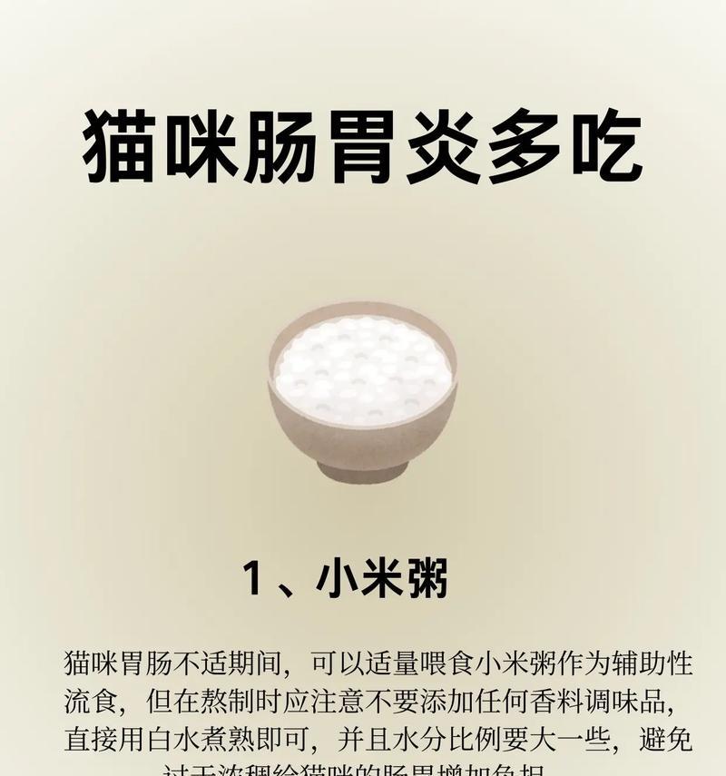 猫肠胃炎的治疗方法（猫肠胃炎的药物治疗及注意事项）