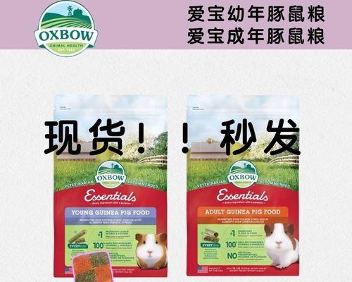 荷兰猪的主粮是什么？（探究荷兰猪饲料选择的关键因素）